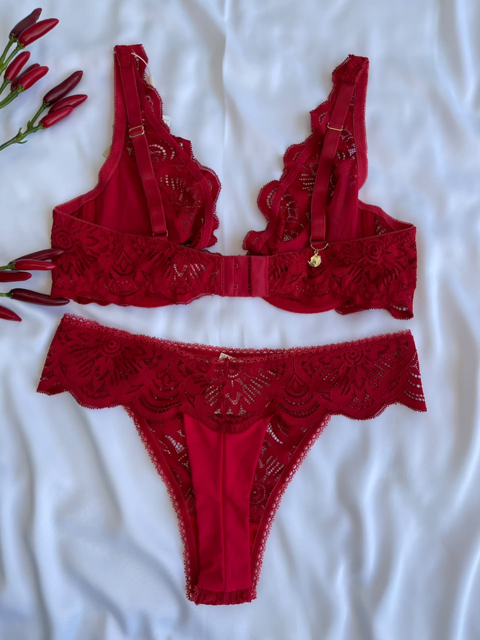 CONJUNTO LINGERIE DE RENDA COM ARO E SEM BOJO DUZANI (Cópia)